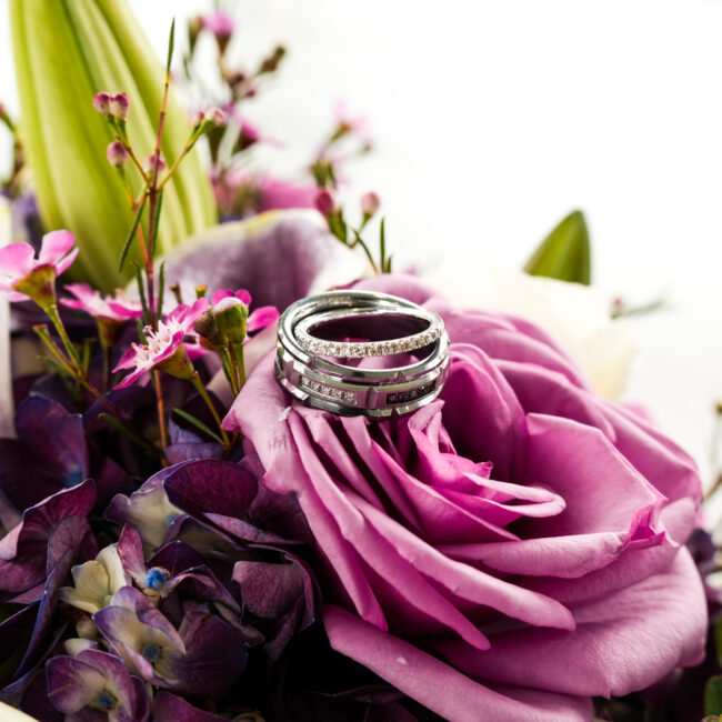 Bruce & Elena’s Wedding At The Orchards Event Venue