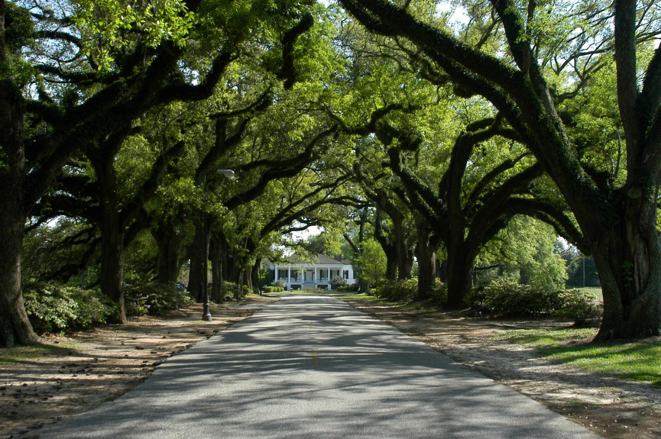 Springhill College engagement photo location idea