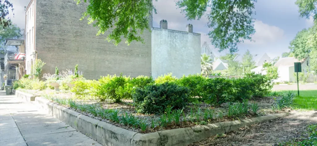 19 Best Engagement Photo Spots in Mobile, Alabama (With Parking, Timing & Real Session Examples) 9 De Tonti Square mobile, al. Sunny urban garden beside a sidewalk, with raised stone beds, lush shrubs, mature trees, and weathered buildings under a bright sky.