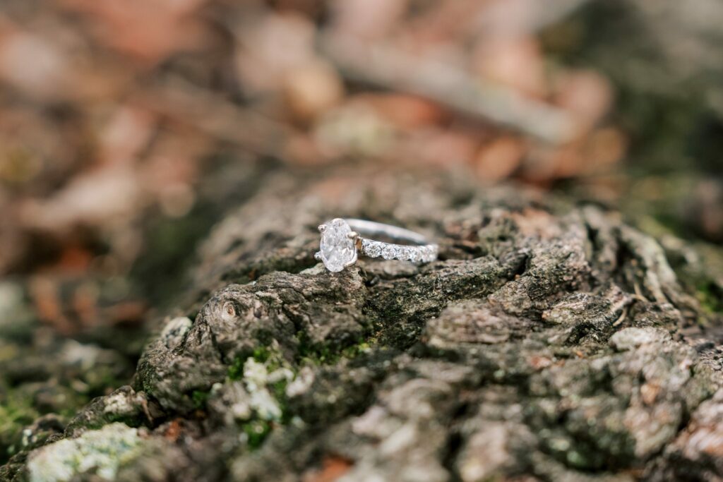 Engagement ring resting on the bark of a live oak in Seville Square