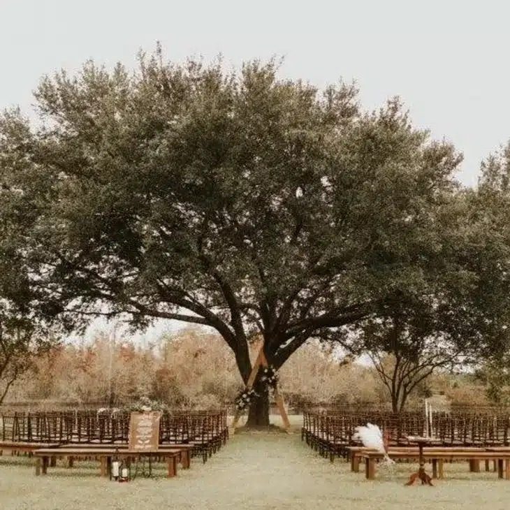 Josh & Haley's Hidden Oak Farm Wedding in Milton, FL 2 Ceremony seating set beneath the Grand Oak at Hidden Oak Farm in Milton, Florida