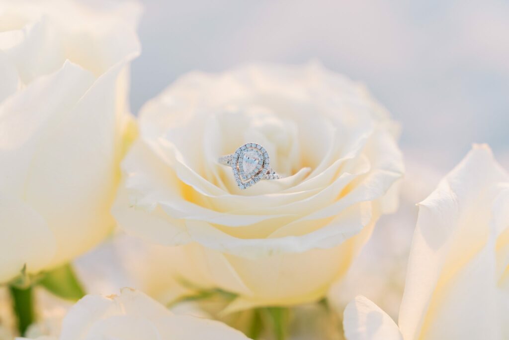 Avery & Hannah's Orange Beach Proposal 2 Pear-shaped diamond engagement ring resting in a white rose from Avery's proposal to Hannah on Orange Beach, Alabama