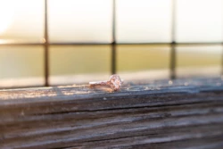 Beautiful & Heartfelt Proposal on Navarre Beach Pier 41 Caleb Heartfelt Proposal to Jordan on Navarre Beach Pier by KDH Weddings