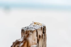 Rainy Day Romance: Joe & Tarah's Stunning Pensacola Beach Engagement Session 10 Joe & Tarah's Pensacola Beach Engagement Photo Shoot by KDH Weddings