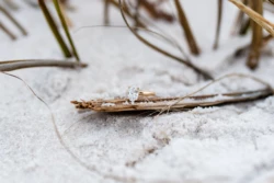 Rainy Day Romance: Joe & Tarah's Stunning Pensacola Beach Engagement Session 11 Joe & Tarah's Pensacola Beach Engagement Photo Shoot by KDH Weddings