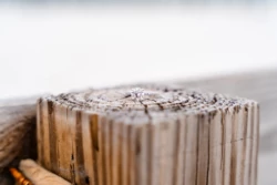 Pensacola Beach Proposal Magic: Tyler & Macy's Unforgettable Engagement 18 Tyler's Wedding Proposal To Macy on Pensacola Beach - KDH Weddings