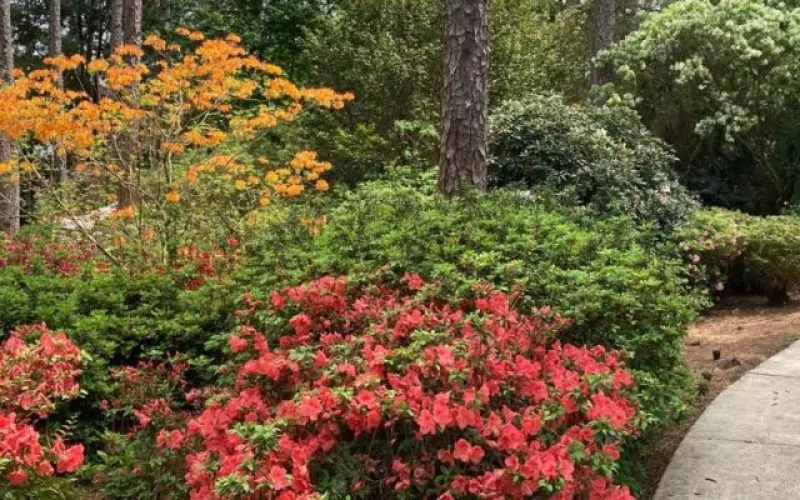 Mobile Botanical Gardens