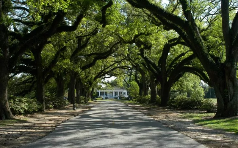 Springhill College engagement photo location idea